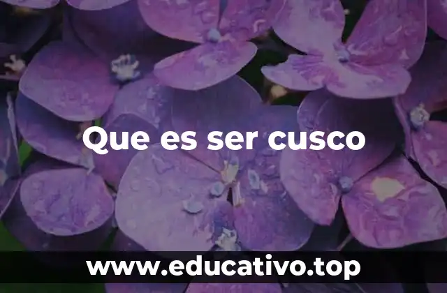 Que es ser cusco