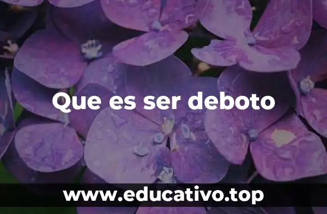 Que es ser deboto
