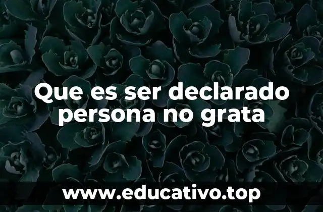 Que es ser declarado persona no grata