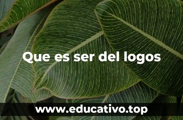 Que es ser del logos