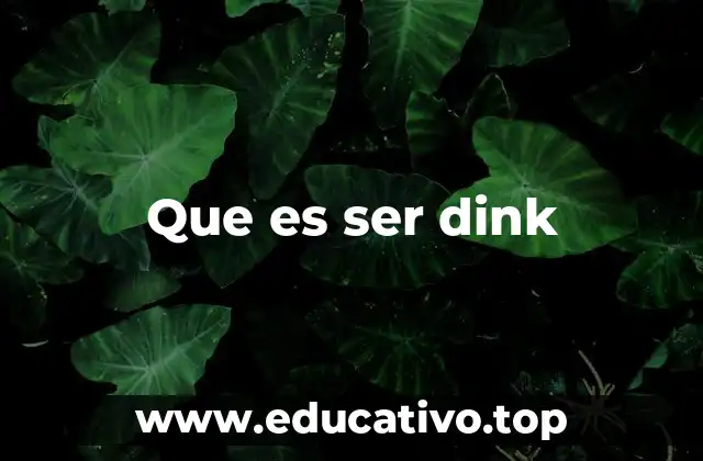 Que es ser dink