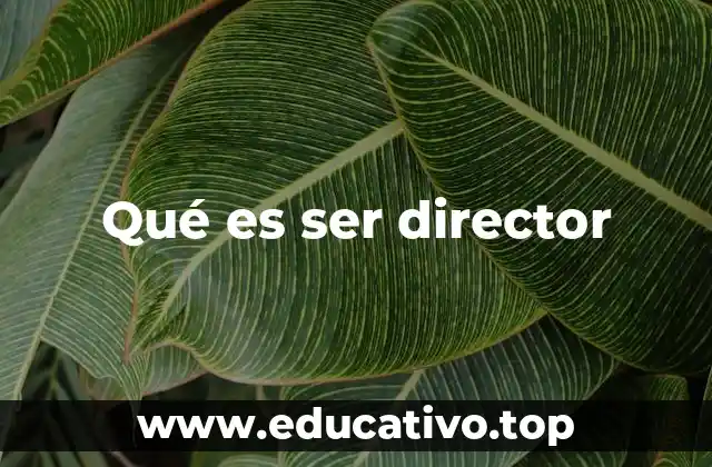 Qué es ser director