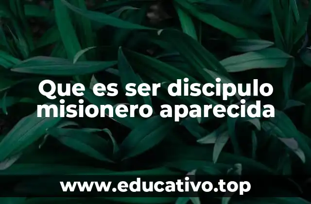 El rol del discípulo misionero en la sociedad actual