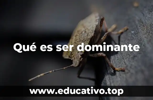 Qué es ser dominante
