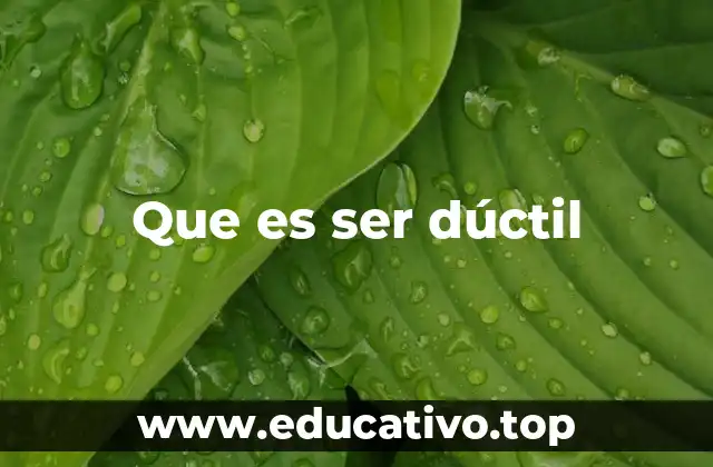 Que es ser dúctil