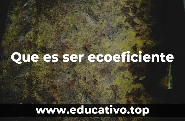 Que es ser ecoeficiente