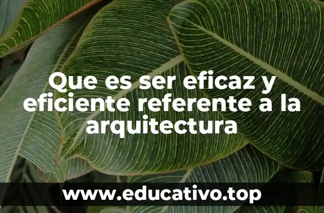 Que es ser eficaz y eficiente referente a la arquitectura