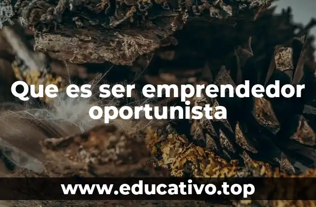 Que es ser emprendedor oportunista