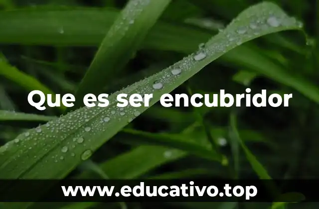 Que es ser encubridor