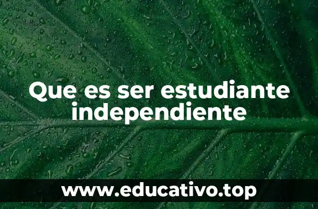 Que es ser estudiante independiente