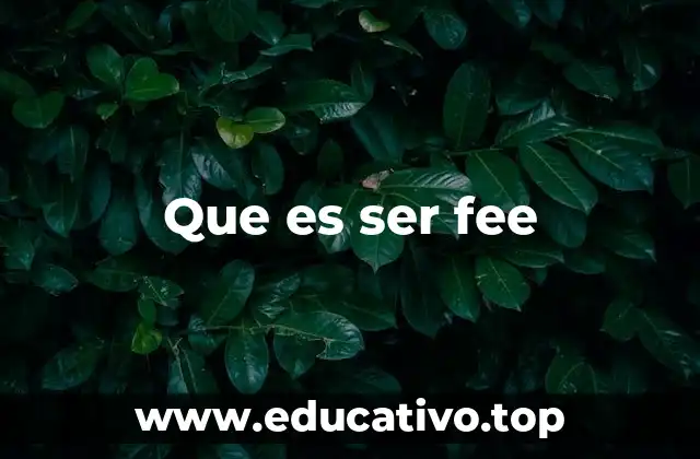 Que es ser fee
