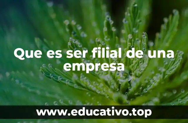 Que es ser filial de una empresa