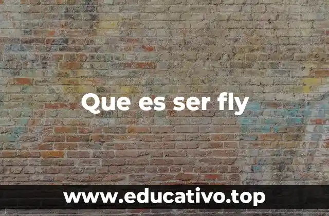 Que es ser fly