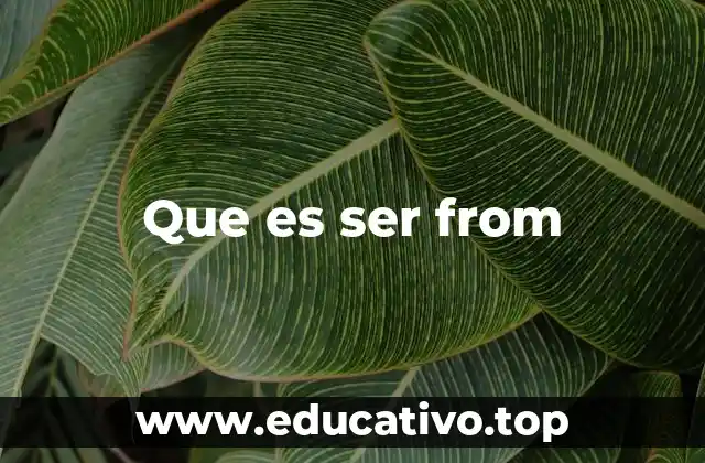 Cómo usar correctamente be from en oraciones