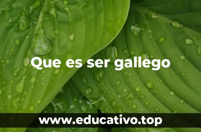 Que es ser gallego