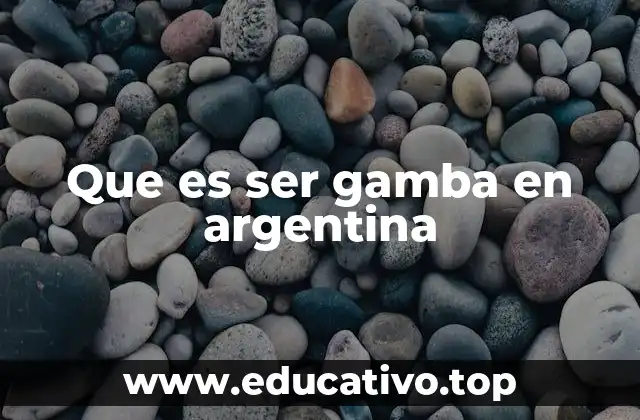 Que es ser gamba en argentina