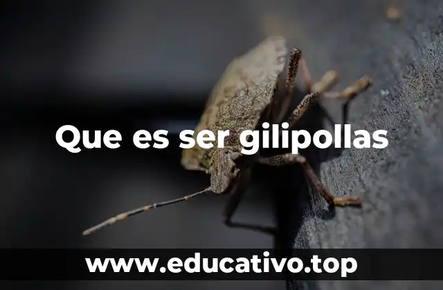 Que es ser gilipollas