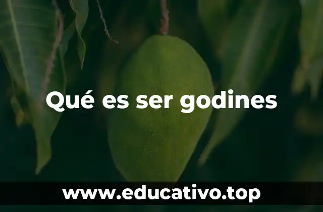Qué es ser godines