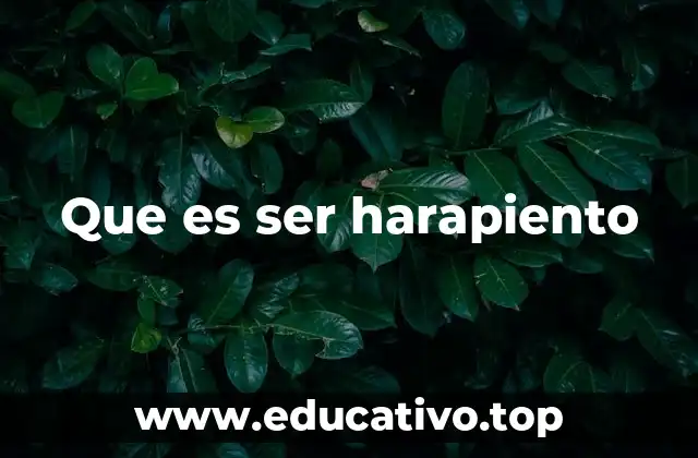 Que es ser harapiento