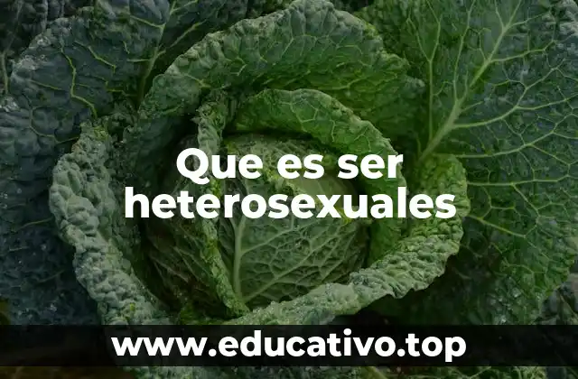 Que es ser heterosexuales