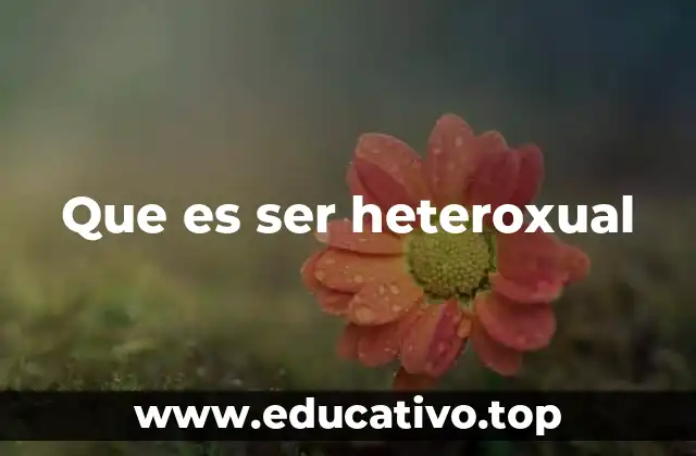 Que es ser heteroxual