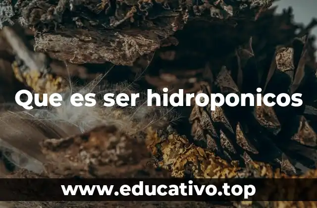 Que es ser hidroponicos