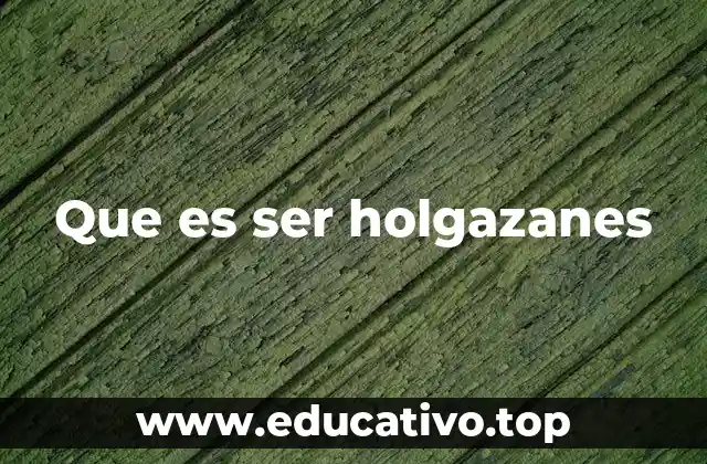 Que es ser holgazanes