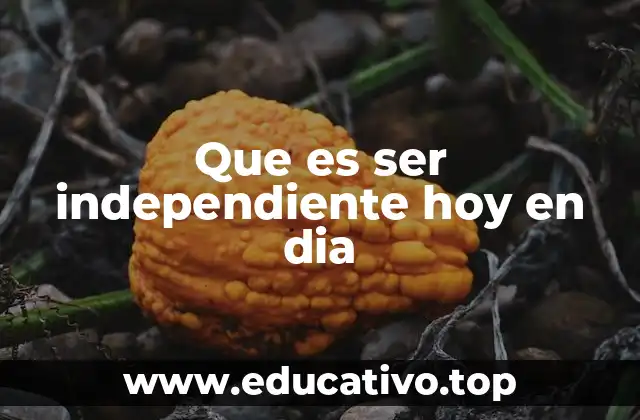 Que es ser independiente hoy en dia
