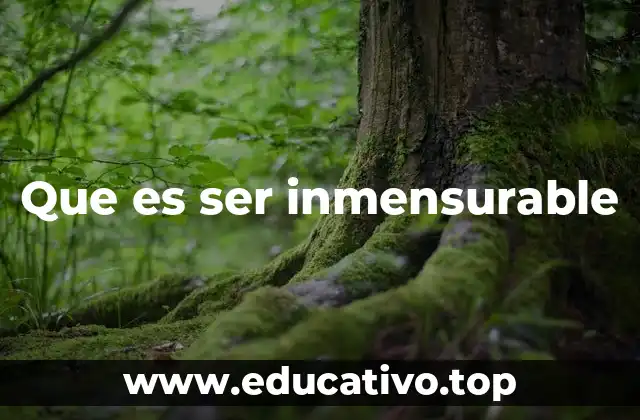 Que es ser inmensurable
