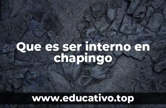 Que es ser interno en chapingo