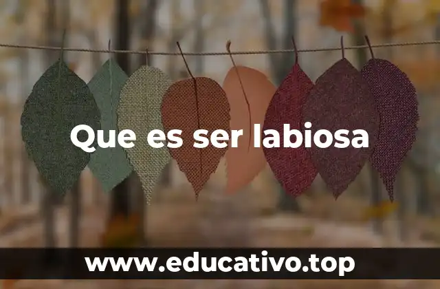 Que es ser labiosa