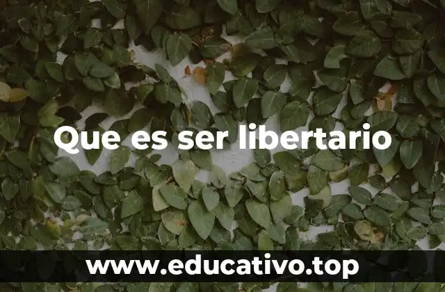 Que es ser libertario