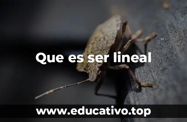 Que es ser lineal
