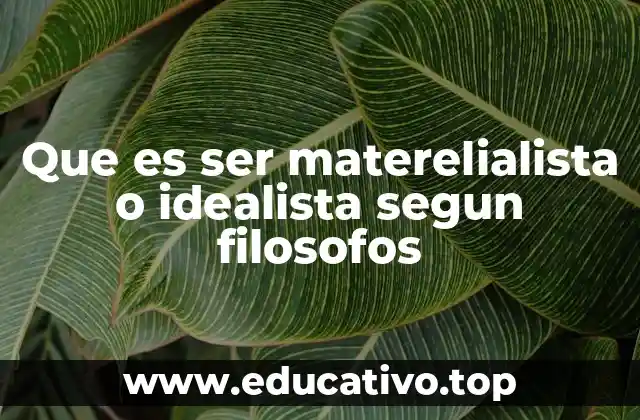 Que es ser materelialista o idealista segun filosofos