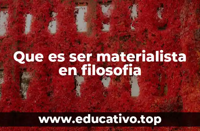 Que es ser materialista en filosofia