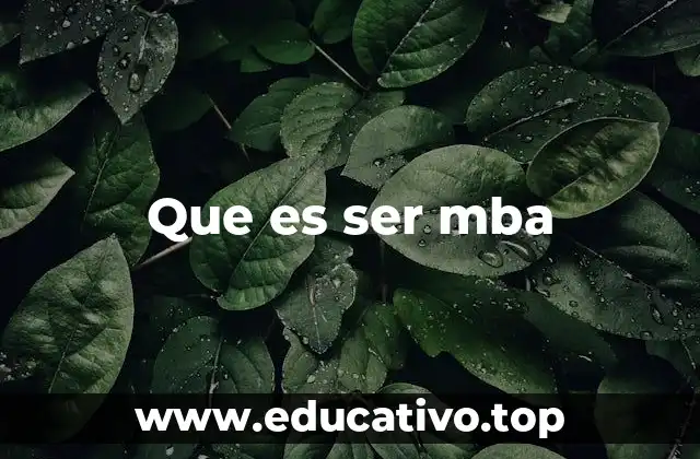 Que es ser mba