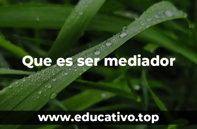 Que es ser mediador