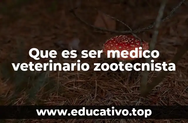 Que es ser medico veterinario zootecnista