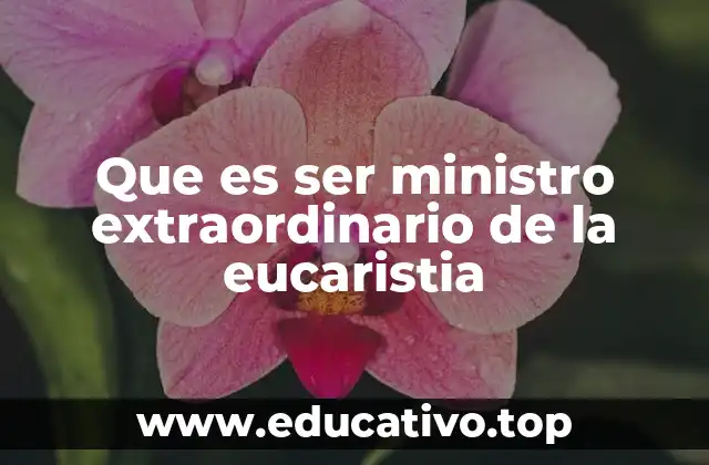 Que es ser ministro extraordinario de la eucaristia