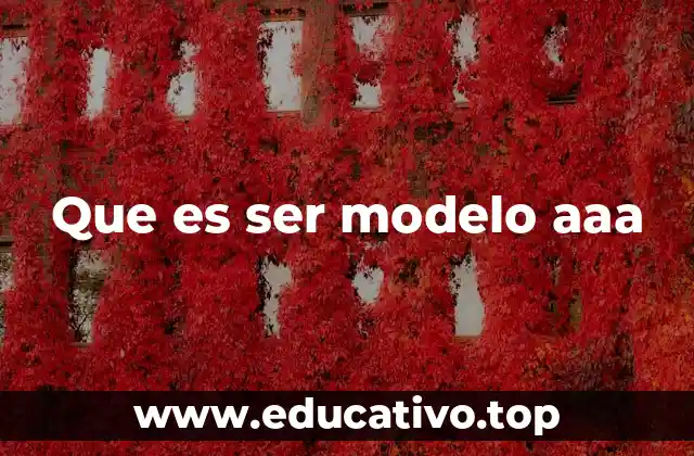 Que es ser modelo aaa
