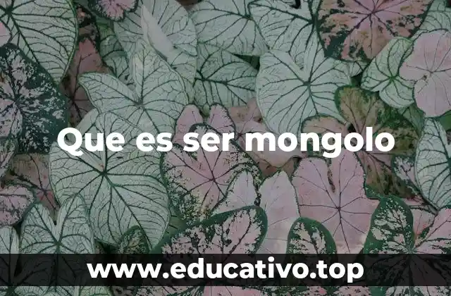Que es ser mongolo