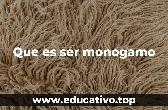Que es ser monogamo