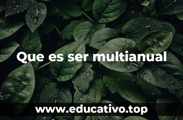 Que es ser multianual