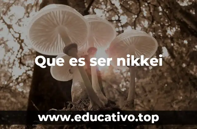 Que es ser nikkei