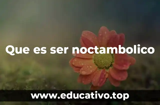 Que es ser noctambolico