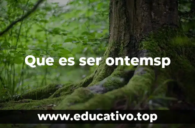 Que es ser ontemsp