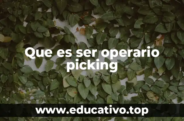 Que es ser operario picking