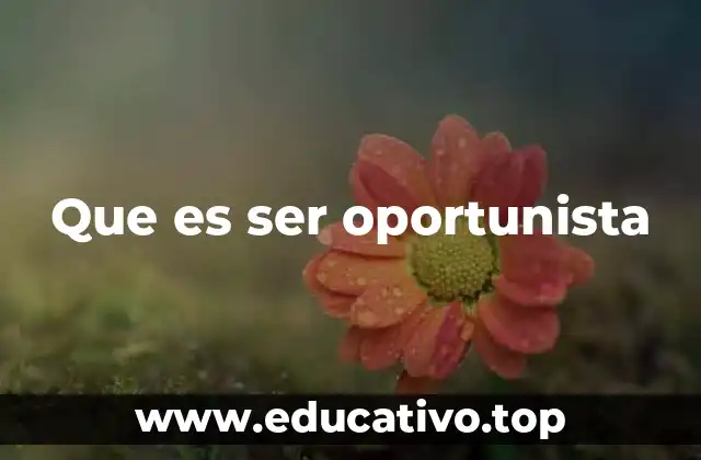 Que es ser oportunista