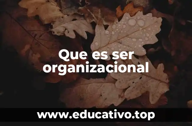 Que es ser organizacional