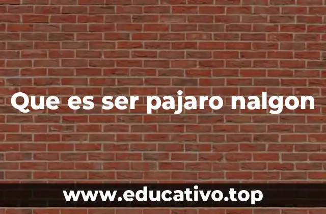 Que es ser pajaro nalgon